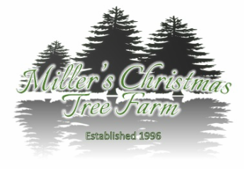 Miller's Christmas Tree Farm